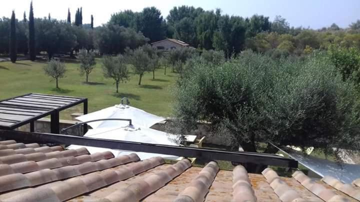Agriturismo Lupo Cerrino Tarquinia Exterior foto