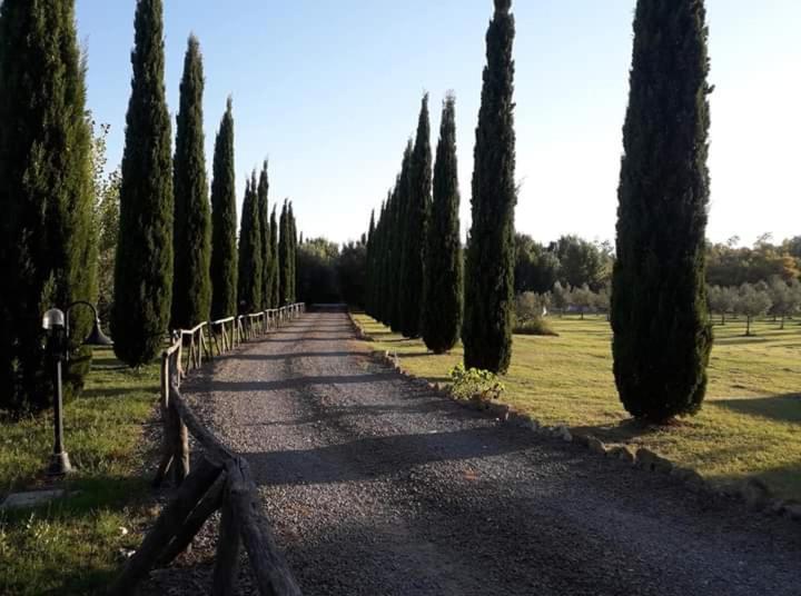 Agriturismo Lupo Cerrino Tarquinia Exterior foto